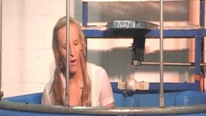 sarah_the_estate_agent_dunked_2.jpg